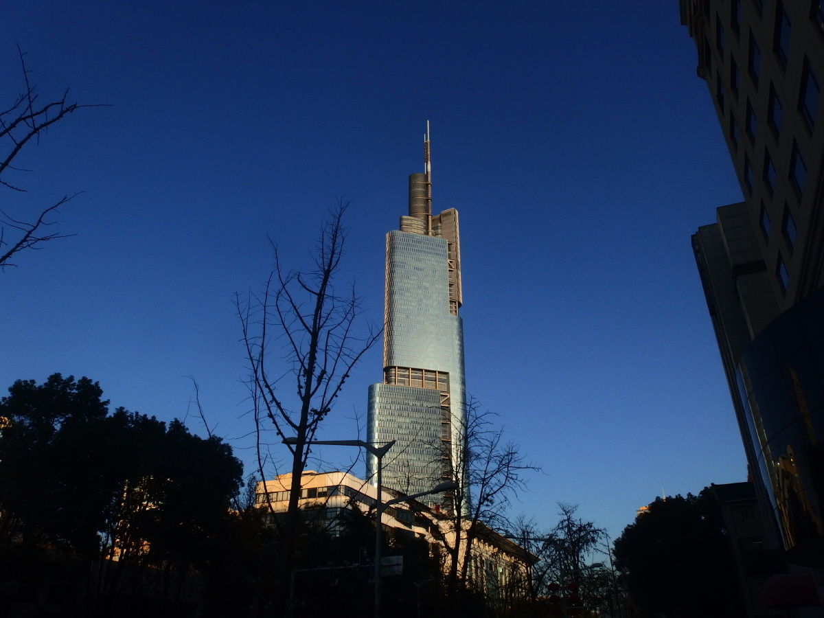 南京北京西路的小景年轻时候的大排档的地点