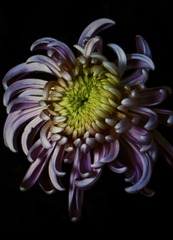 5915D14C-08DD-4EAE-BC13-DBFA25D14B66/L0/001
