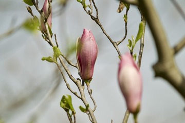 96007AB8-5E0E-4364-88A0-D87F1098E19F/L0/001