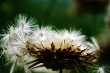 Optional("CC993899-7B33-449B-9F18-D7BF459F1675/L0/001")