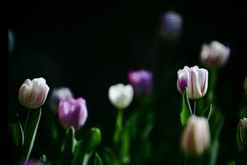 Optional("31700D92-A89F-4D58-B71B-1F0DBAE7F57A/L0/001")