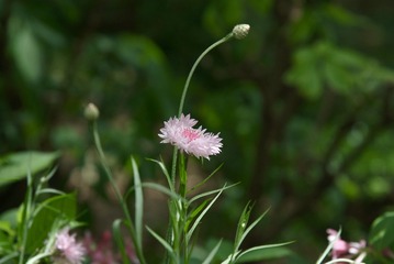 45EFEAC9-B38D-4C67-8CA2-2EEDF744E3D8/L0/001