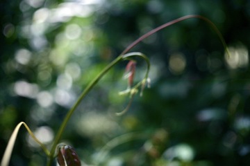 D2DE7795-55BE-44A7-A68C-1534D9A434AA/L0/001