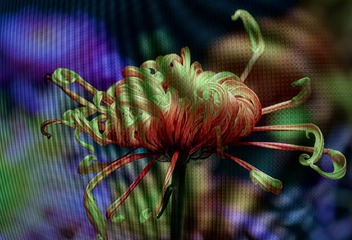 51E25963-5F04-4E52-986B-3746CC310923/L0/001