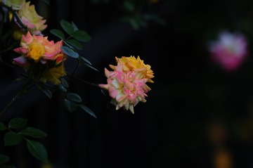 Optional("32A3555B-7489-486A-9076-550D6774D84B/L0/001")