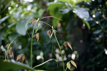 AB5D4EF6-C5FD-4347-A6DB-8D193C6D475D/L0/001