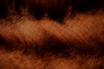 687E2B1C-4036-4FDC-B3C0-FE773E529376/L0/001