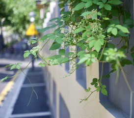 Optional("E7191610-8CF9-43E8-A135-906CA74878F3/L0/001")