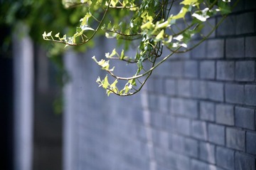 Optional("E489AE21-9A13-439D-8609-1E121DD62A30/L0/001")