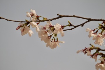 5D7A76F7-B918-488C-93A2-6690291CA965/L0/001