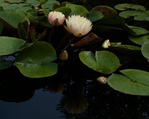 Optional("7D1E8529-D2F3-4BBE-84F9-68EC277CC35E/L0/001")