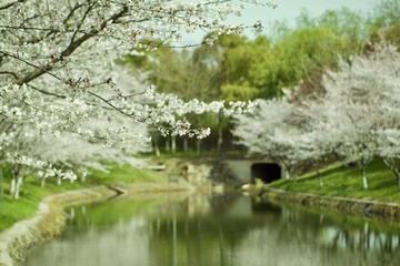 2EC0C2B9-CA8D-4C3D-A253-F114BE5374A1/L0/001