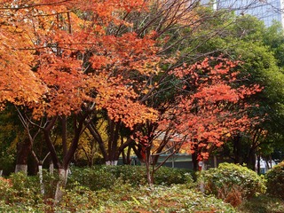 20703F6E-6774-485D-9AC9-B31A96E5F8A4/L0/001