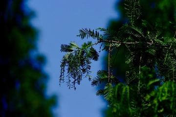 Optional("7E823078-79EB-4CF4-BA02-015BB9791F8B/L0/001")