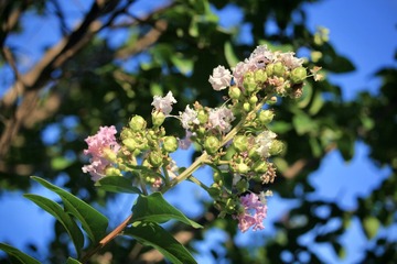 Optional("D3D13B3C-A609-4766-BC85-9096BBFE916C/L0/001")