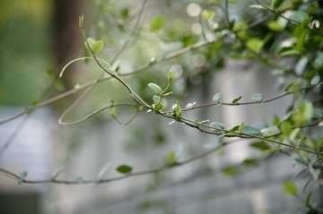 Optional("5D080192-AA22-44F8-BD13-899E630CC686/L0/001")
