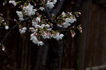 58AE0E91-C31E-43E2-9F94-AB22DB647A6A/L0/001