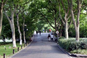 F31428CD-1524-44E2-B31C-C414C6D2E4BC/L0/001