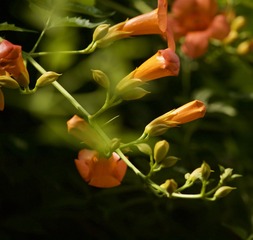 DFBE24A2-57CA-4195-A803-D088BCBA5CF0/L0/001