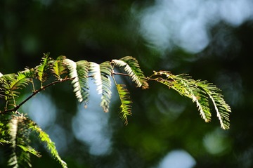 Optional("433408F3-73FD-4C7C-90E2-CD8EA39327C2/L0/001")