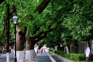 Optional("A72A4085-94A2-403D-B8A4-88255FB6D7B3/L0/001")