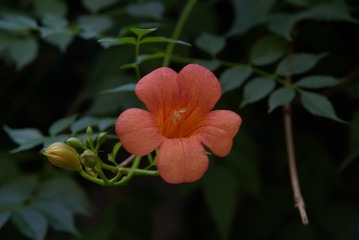 Optional("8A3B519C-40EC-4C68-AE04-A3A1F4D526D9/L0/001")
