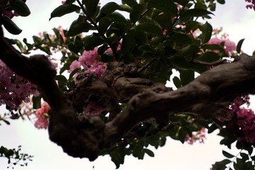 Optional("86A6D8B8-B846-48AB-89BF-92DC03EDE34C/L0/001")