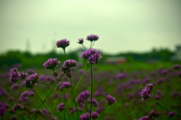 fullsizeoutput_a76f