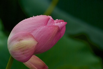 Optional("7D2D918A-6E05-4378-A17D-69BC943A65DF/L0/001")