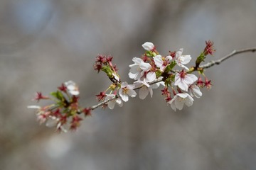 4E61469C-8886-4294-A7D0-48D477D9F6FD/L0/001