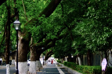 Optional("0923366A-9BBF-4CA1-BAC9-727A33A88957/L0/001")