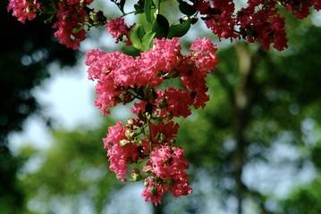 Optional("79D801B2-0C18-4065-ADF7-F524E3C04687/L0/001")