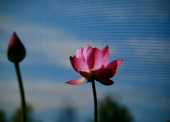 Optional("15F5D997-4594-44E0-9590-6D29882B9C01/L0/001")