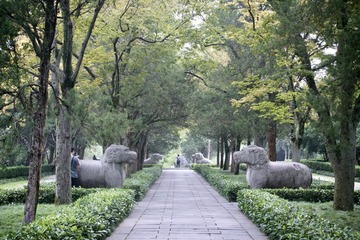 Optional("C5D76842-D818-43BF-8CBE-7A32606D659B/L0/001")