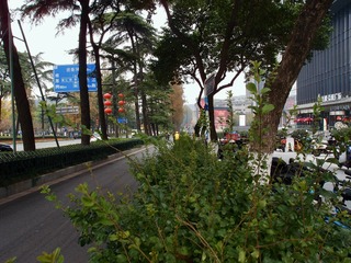 E357C062-6B9F-47C3-9C8E-029602321A31/L0/001