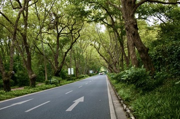 Optional("7D24D54A-8B3E-4950-BC54-067225759BBF/L0/001")