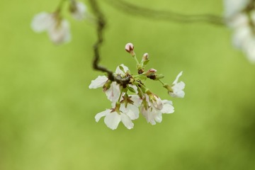 6025ED85-BF03-44B8-921F-5F211CE7FE41/L0/001