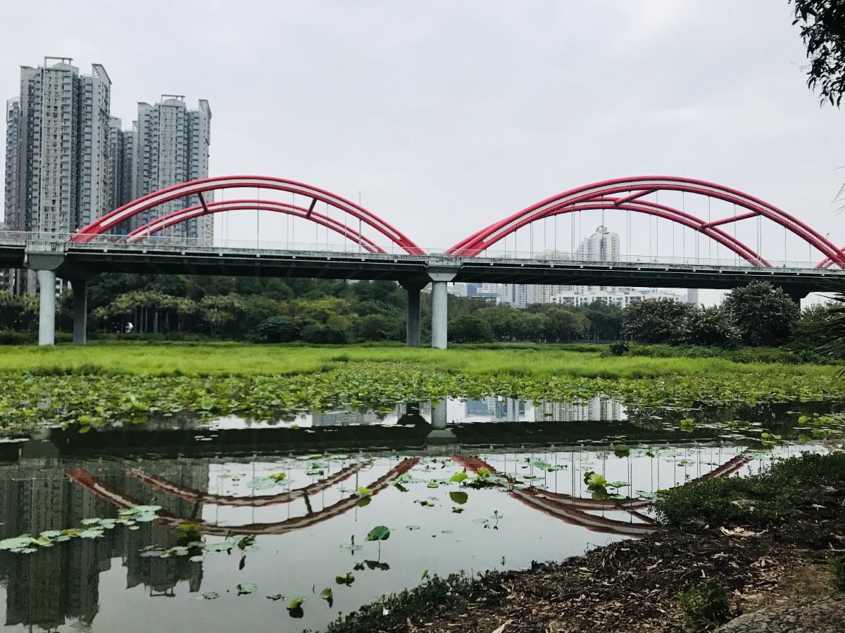 深圳罗湖彩虹桥