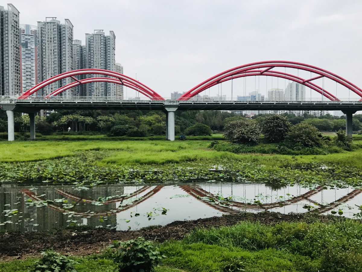 深圳罗湖彩虹桥