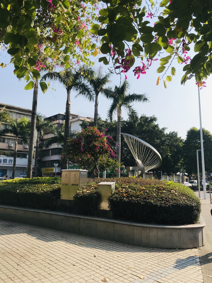 广东江门街景20210131