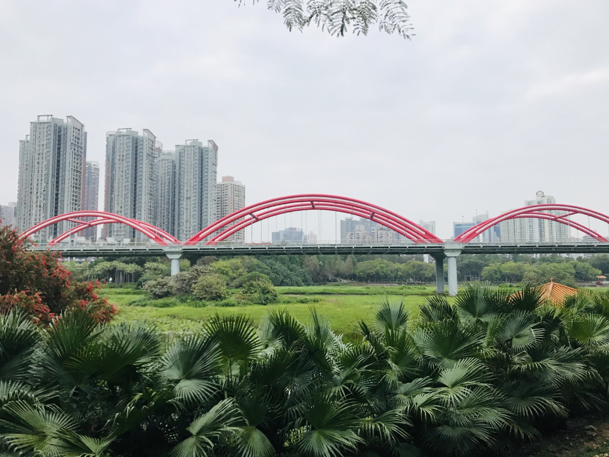 深圳罗湖彩虹桥