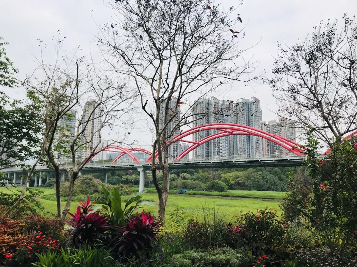 深圳罗湖彩虹桥