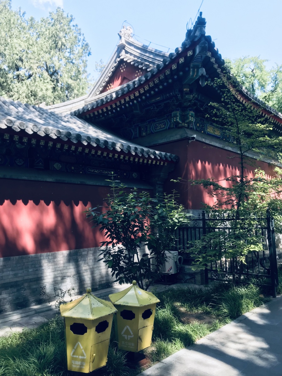北京1300年的卧佛寺20210529