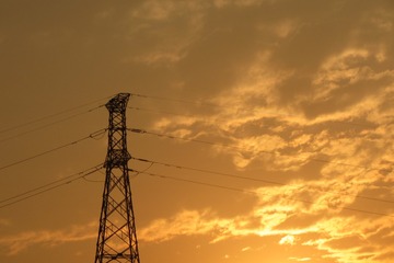 295334