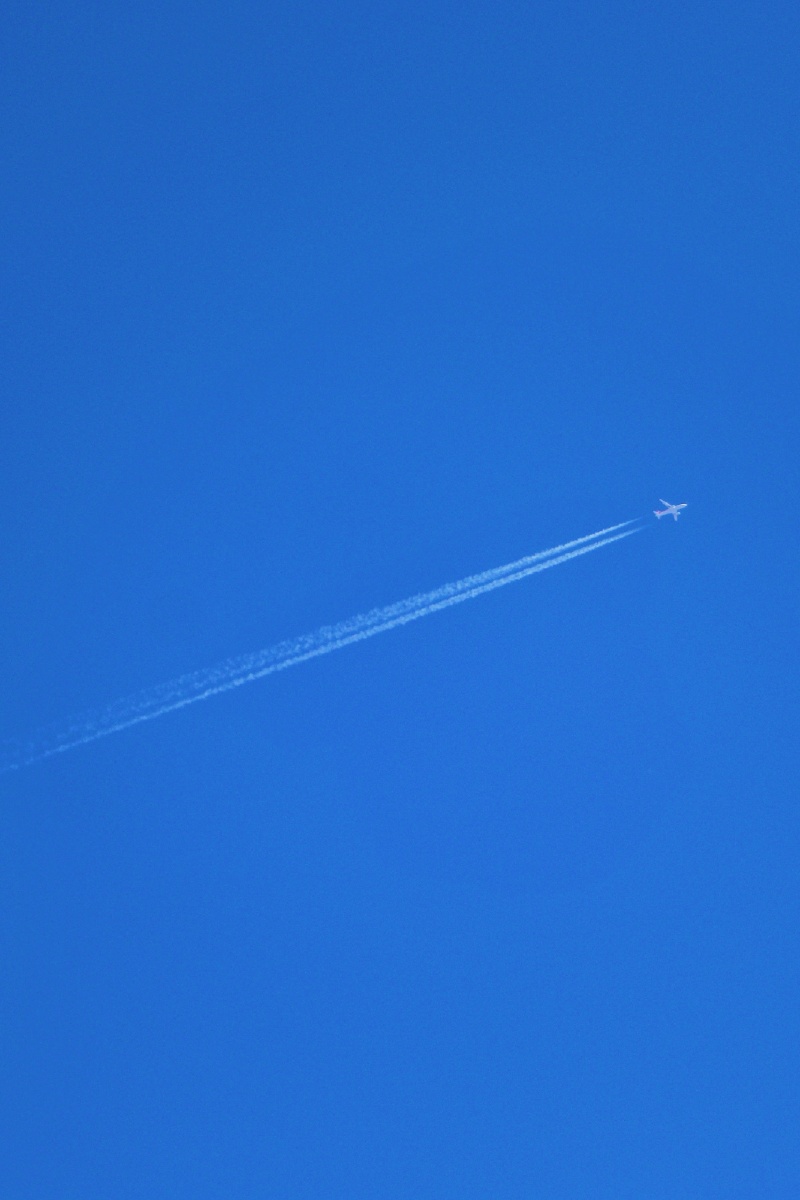 航迹云周末献上一组航迹云足不出户就能看见这么多大型机很舒坦