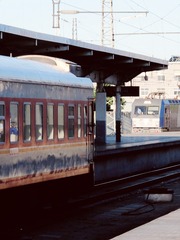 4879393
