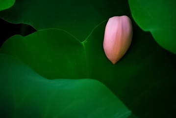 1370665