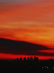95EC7D4D-DB02-4915-93AB-E7173D21BE66/L0/001