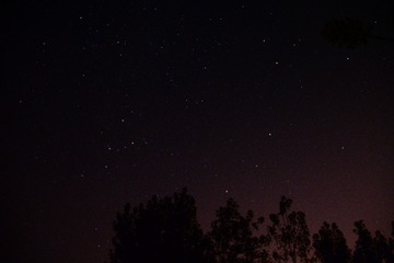 CSC_0046(2)