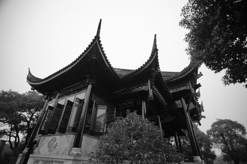 _DSC0746